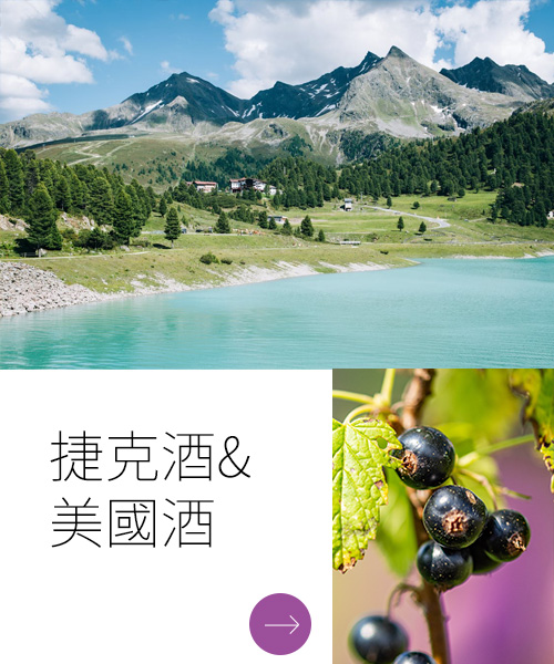 捷克酒&美國酒